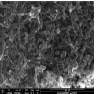 短羟基化多壁碳纳米管20-30nm