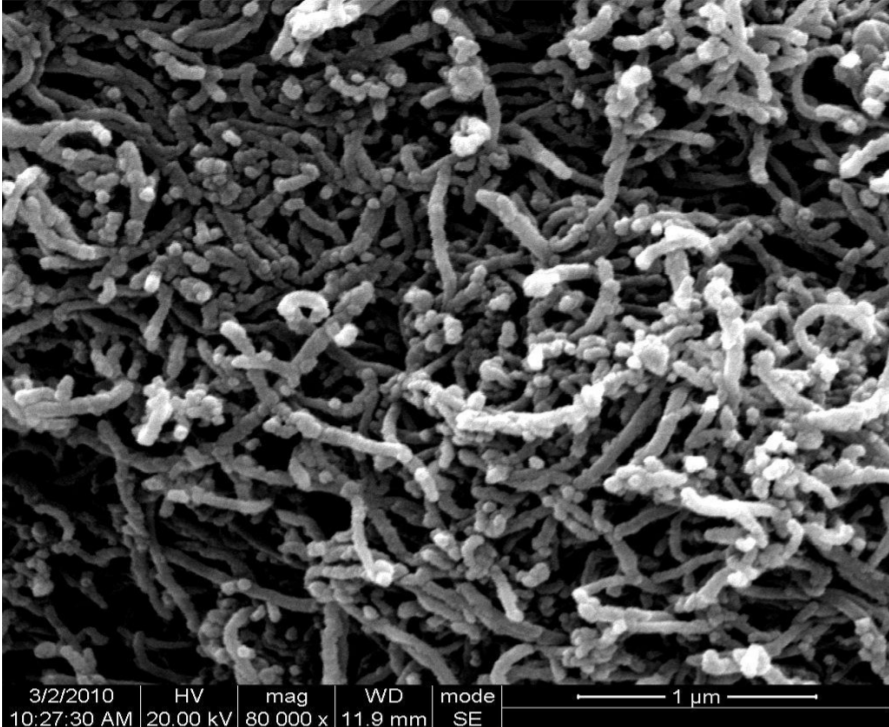 石墨化多壁碳纳米管(40-60nm）