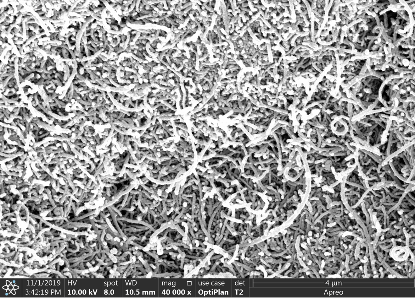 羧基化多壁碳纳米管(40-60nm）
